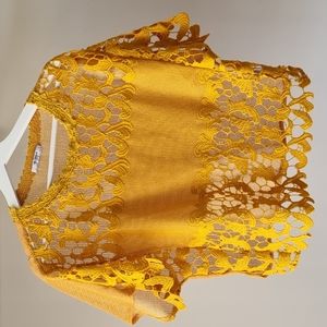 Zara Lace Cropped Top